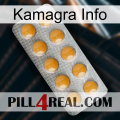 Kamagra Info levitra1